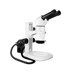 Scienscope E-Series 20° Binocular Microscope Head with Track Stand & Annular Ring Light