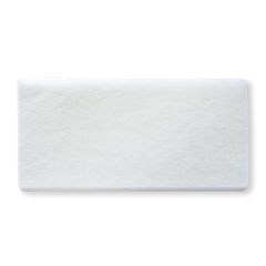 Texwipe TexMop™ Polyester Replacement Pads