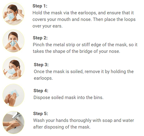 CleanPro™ RS-700 Face Mask Instructions