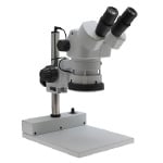 Microscopio Aven Estéreo Binocular